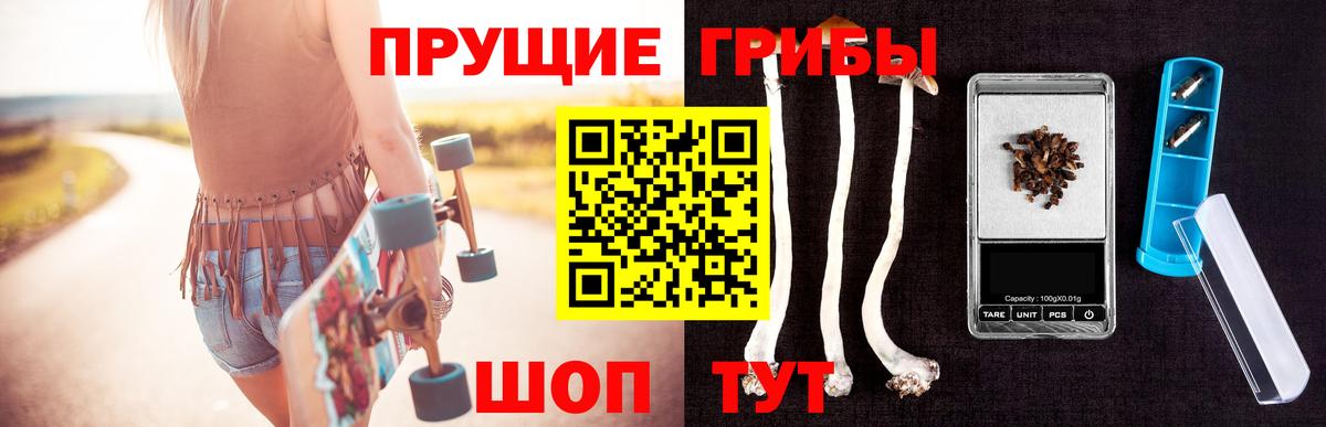 Иваново  Псилоцибиновые грибы прущие грибы  Вход с VPN 